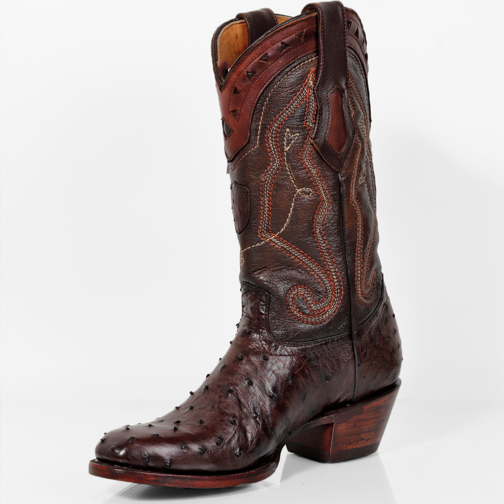 AN150-BOTA AVESTRUZ CAFE