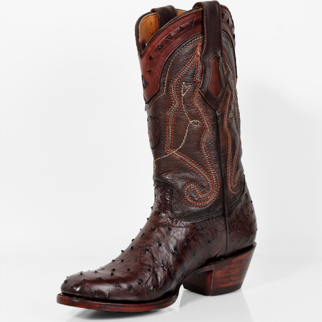 AN150-BOTA AVESTRUZ CAFE