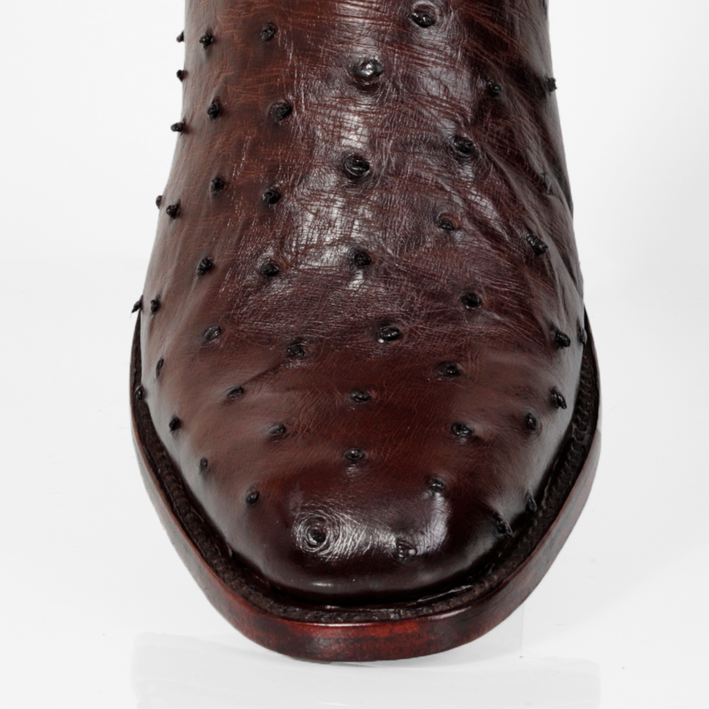 AN150-BOTA AVESTRUZ CAFE