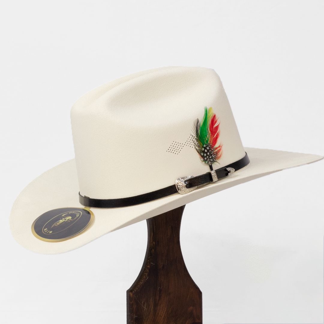 AN501-SOMBRERO SINALOA