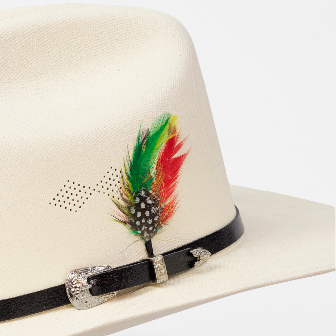 AN501-SOMBRERO SINALOA