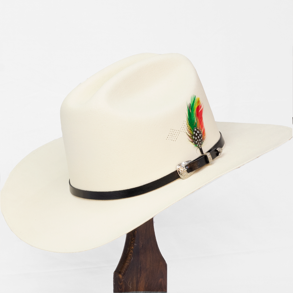 AN501-SOMBRERO SINALOA