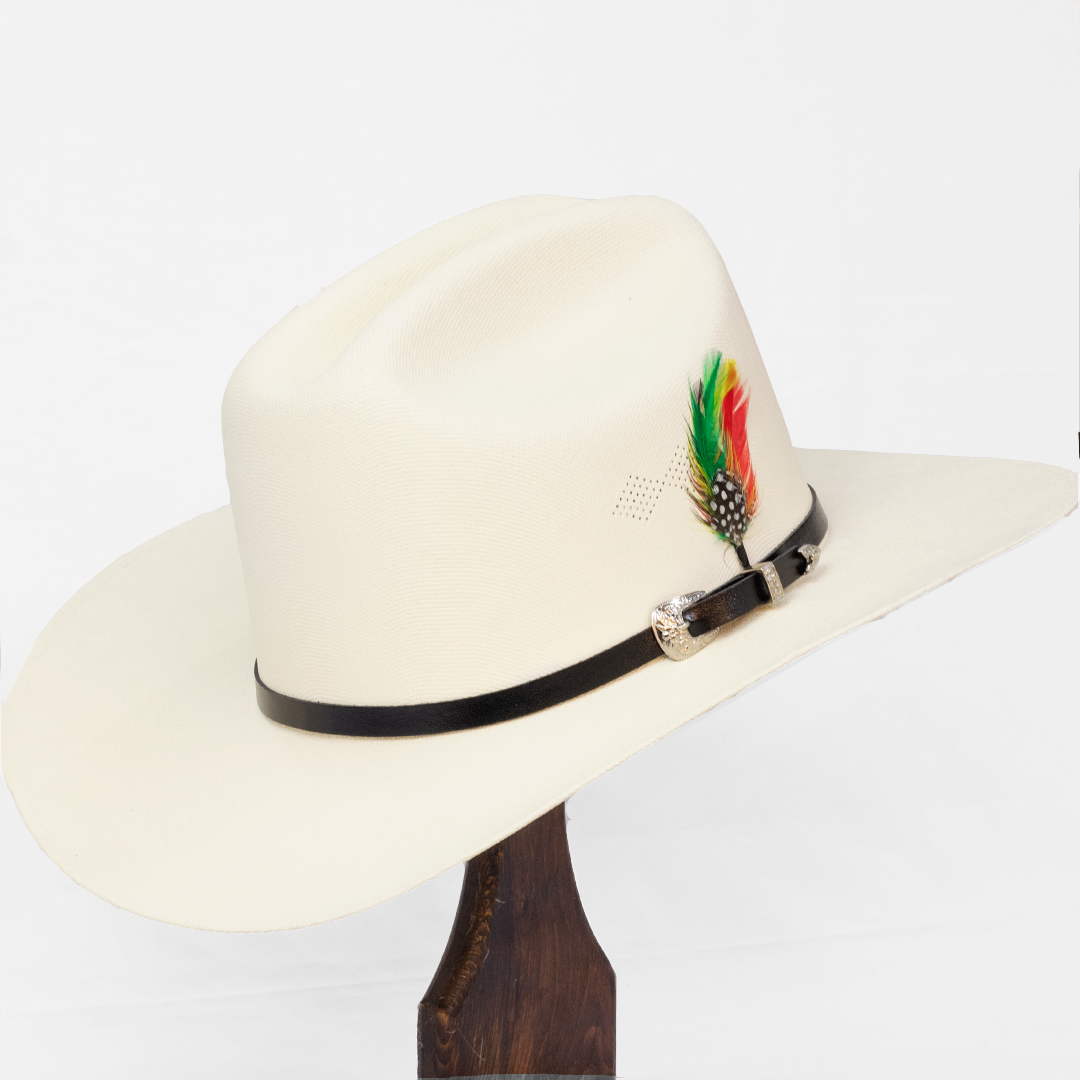 AN501-SOMBRERO SINALOA